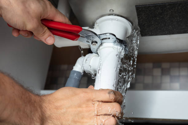 Best Mold removal after water damage  in La Plata, MO