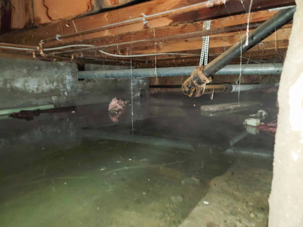 Best 24-hour water damage restoration  in La Plata, MO