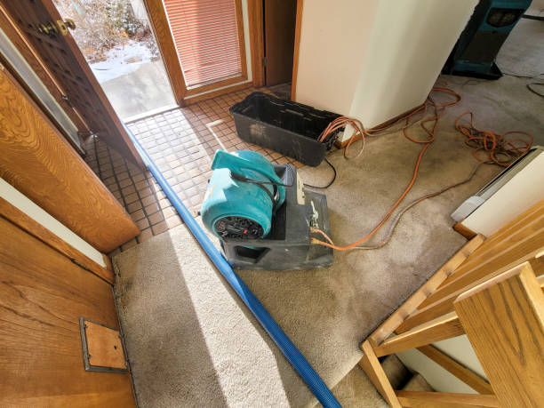 Professional Water damage restoration in MO