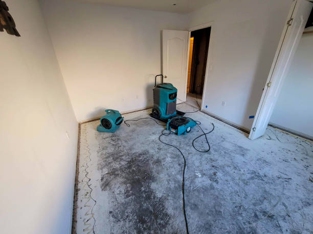 Best Residential water damage restoration  in La Plata, MO