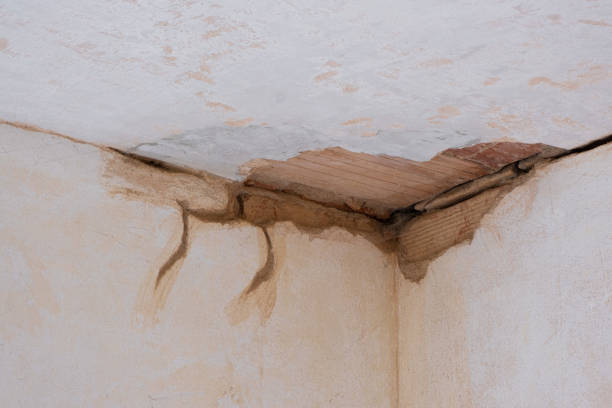 Best Ceiling water damage repair  in La Plata, MO