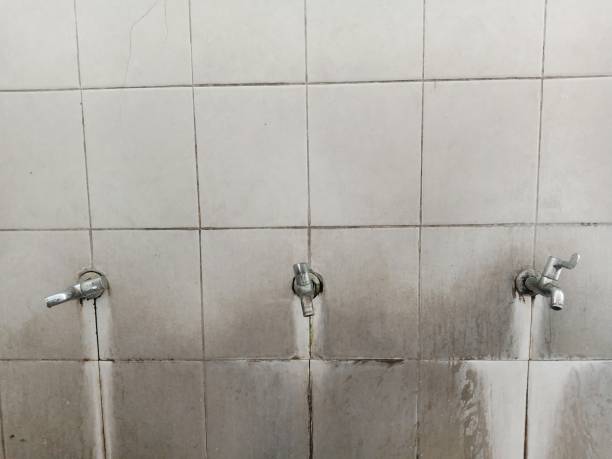 Best 24/7 water damage repair  in La Plata, MO