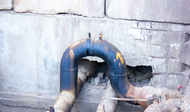Best Flood damage cleanup  in La Plata, MO