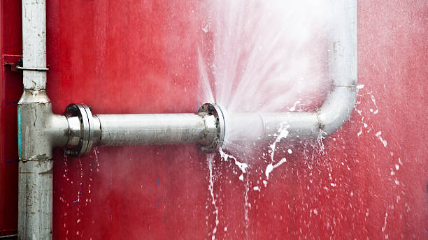 Best Basement water damage restoration  in La Plata, MO